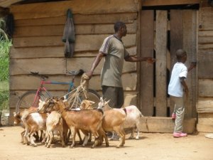 505_98765175462_6440_n